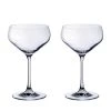 Villeroy & Boch Purismo Bar Champagne Coup: Set Of 2 -Villeroy & Boch Shop 12934790 fpx
