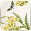 Villeroy & Boch Amazonia Square Salad Plate